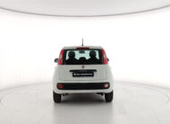 FIAT Panda 1.2 Easy s&s 69cv